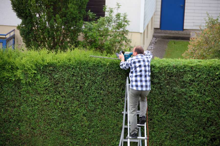Mann scneidet Hecke