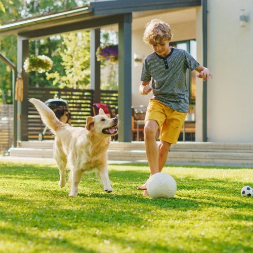 Kind spielt mit Hund im Garten