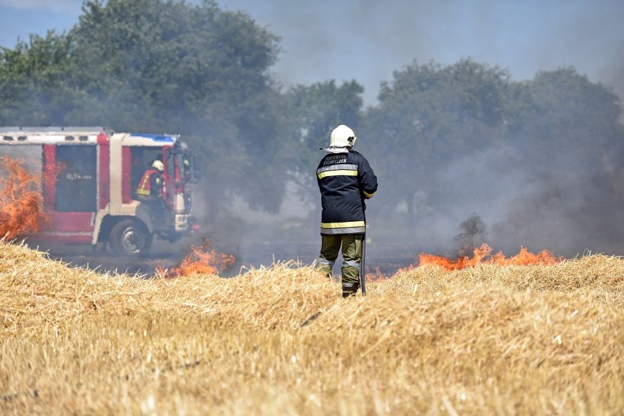 Feuerwehr löscht brennendes Feld