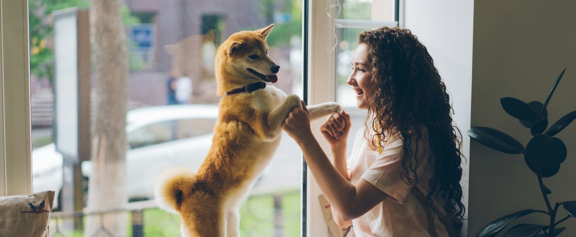 Frau mit einem Hund bei einem Fenster