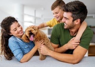 Familie spielt mit einem Hund