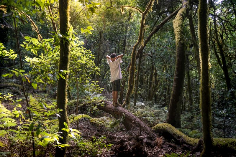 Waldbaden: Mann steht im Wald und streckt die Arme aus